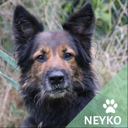 Neyko