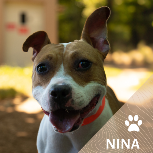 Nina