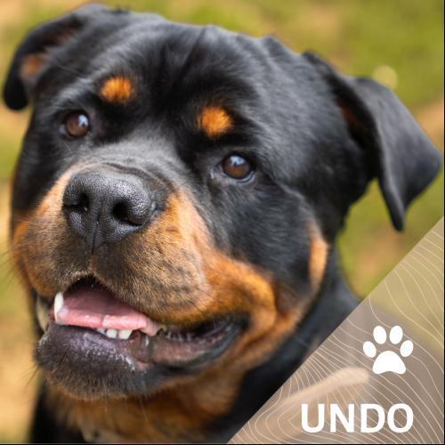 Undo