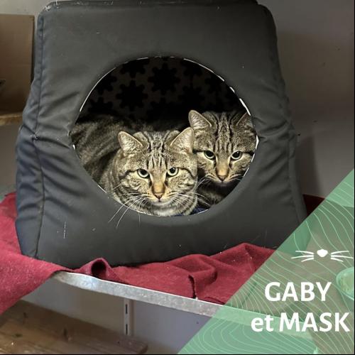 Gaby et Mask