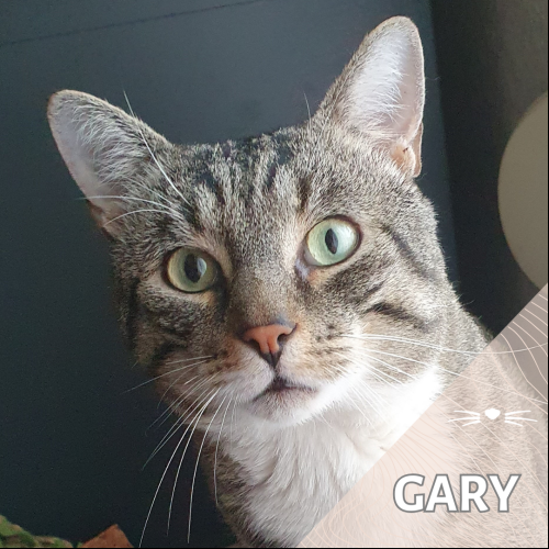 Gary