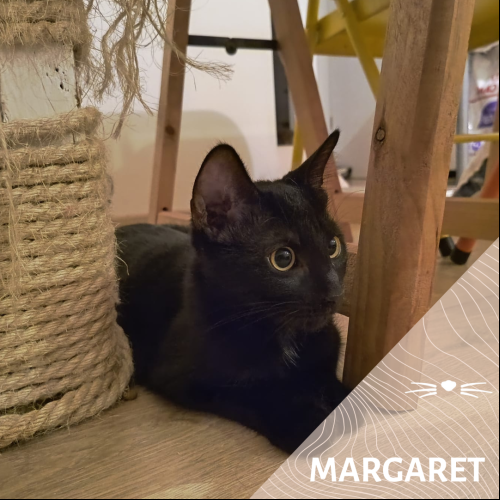 Margaret