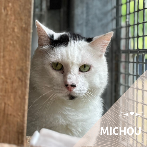 Michou