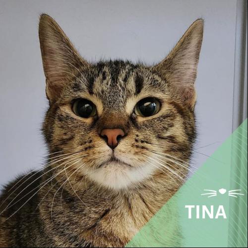 Tina