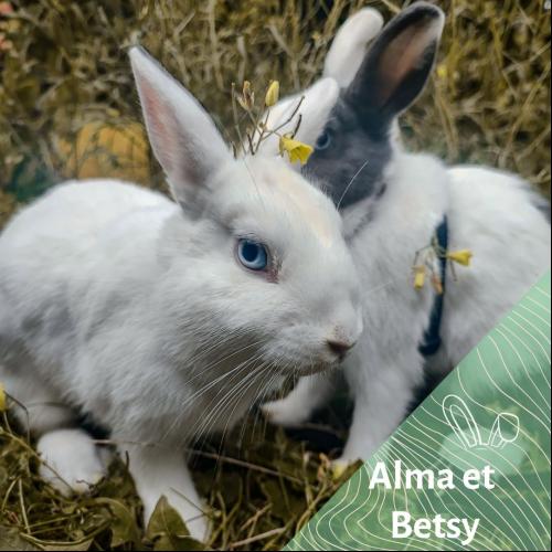 Alma et Betsy