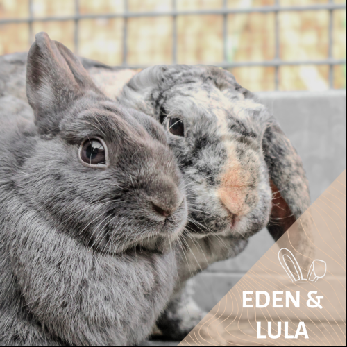 Eden et Lula