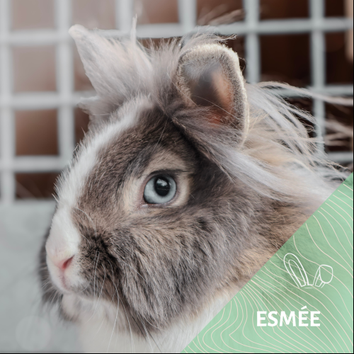 Image Esmée