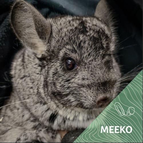 Meeko