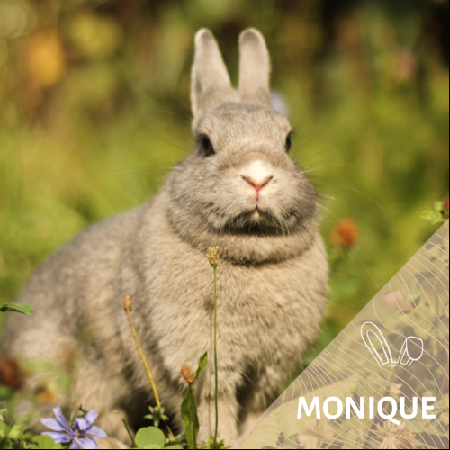 Monique