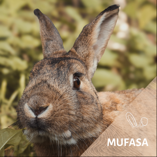 Mufasa