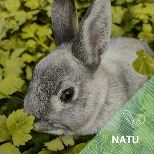 Natu