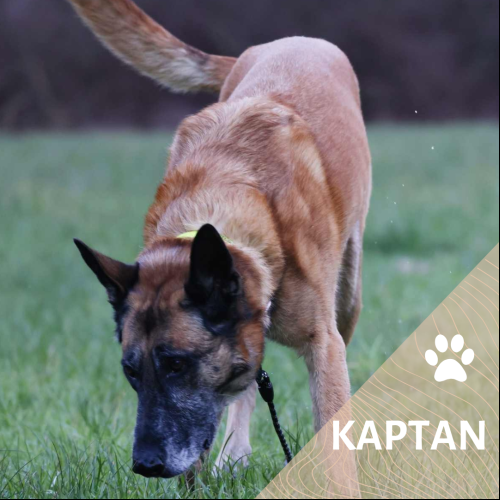 Kaptan