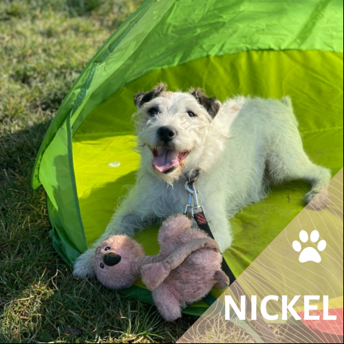 Nickel