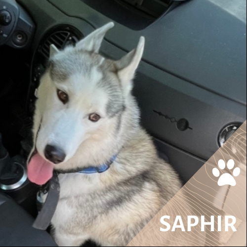 Saphir