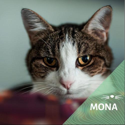 Image Mona