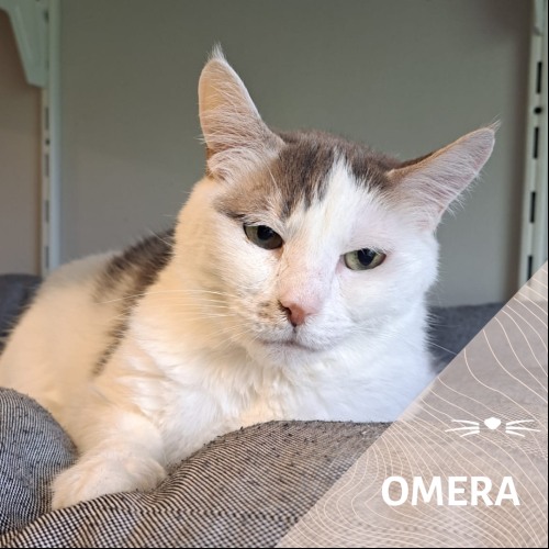 Oméra