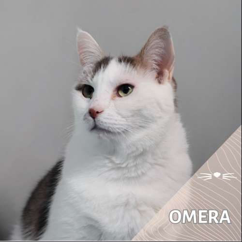 Oméra