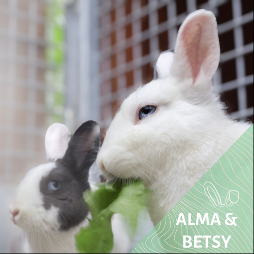 Alma et Betsy