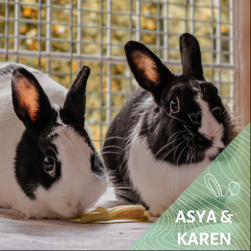 Asya et Karen