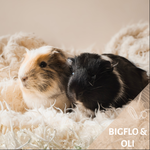 Bigflo & Oli