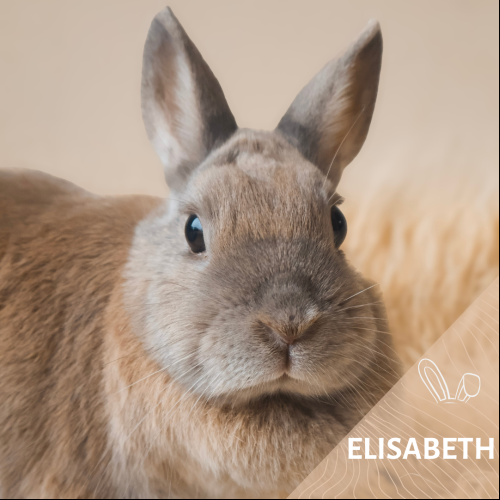 Elisabeth