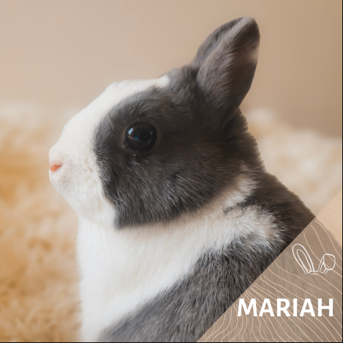 Mariah