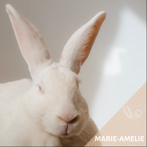Marie Amélie