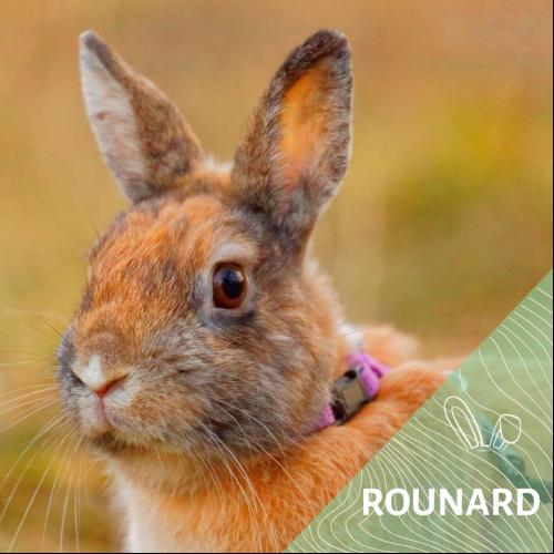 Rounard