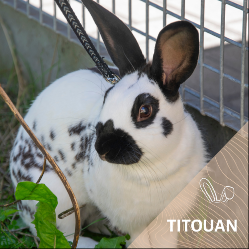Titouan